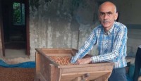KARAN: EMANETE FINDIK BIRAKMAYIN
