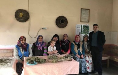 ISIRGAN OTU EKONOMİYE KAZANDIRILIYOR