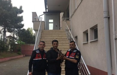 YAVRU KARACA KORUMA ALTINA ALINDI