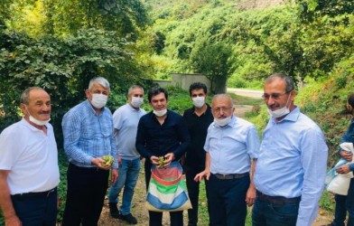 KAYMAKAM VE BAŞKAN FINDIK TOPLADILAR