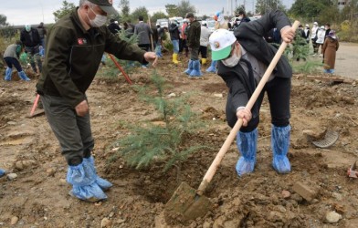 “GENÇLİK  HATIRA ORMANI” OLUŞTURULDU