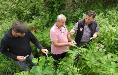 ‘SAMURAY ARI’LAR SALINDI