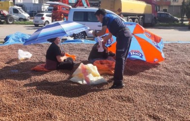 Halk pazarı fındık harmanı oldu